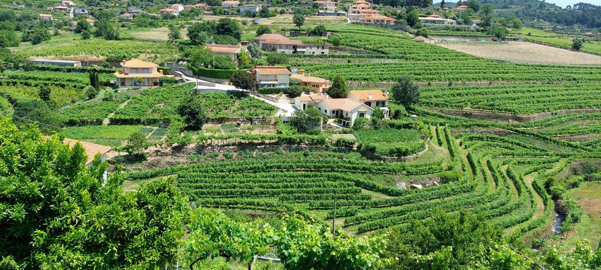 Quinta Dos Castros Douro Villa Baiao Ngoại thất bức ảnh