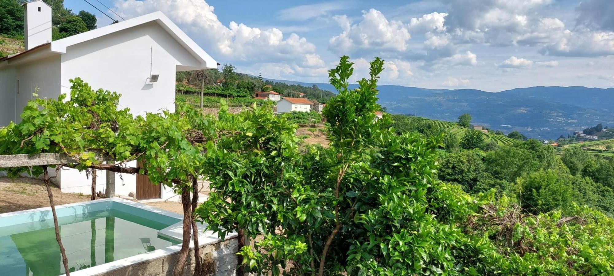 Quinta Dos Castros Douro Villa Baiao Ngoại thất bức ảnh