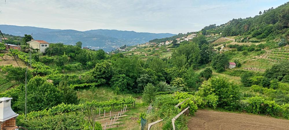 Quinta Dos Castros Douro Villa Baiao Ngoại thất bức ảnh
