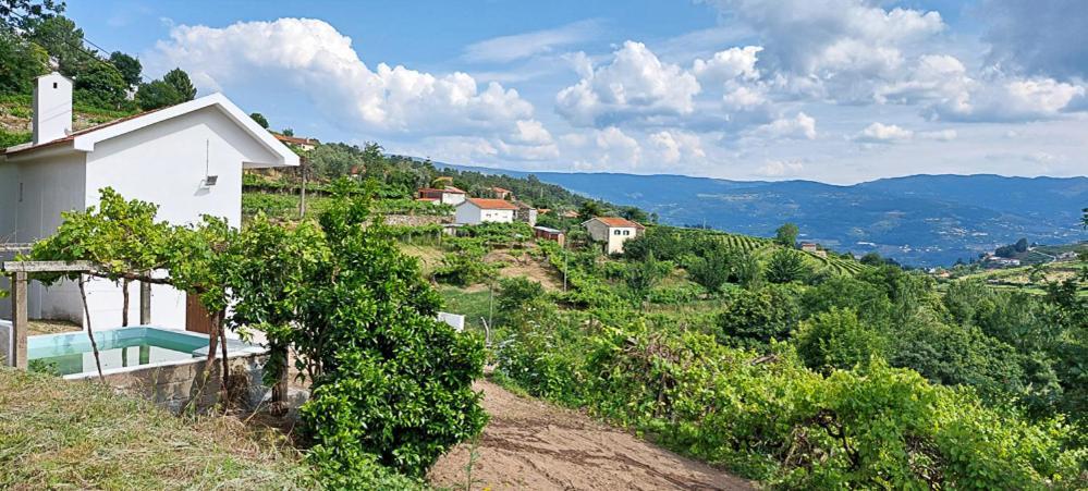 Quinta Dos Castros Douro Villa Baiao Ngoại thất bức ảnh