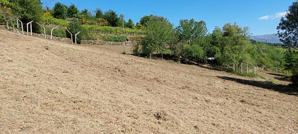 Quinta Dos Castros Douro Villa Baiao Ngoại thất bức ảnh