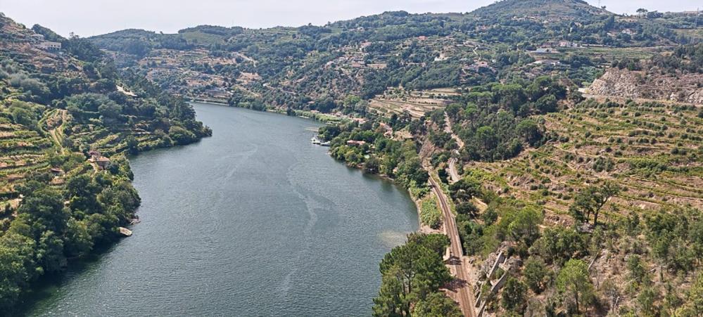 Quinta Dos Castros Douro Villa Baiao Ngoại thất bức ảnh
