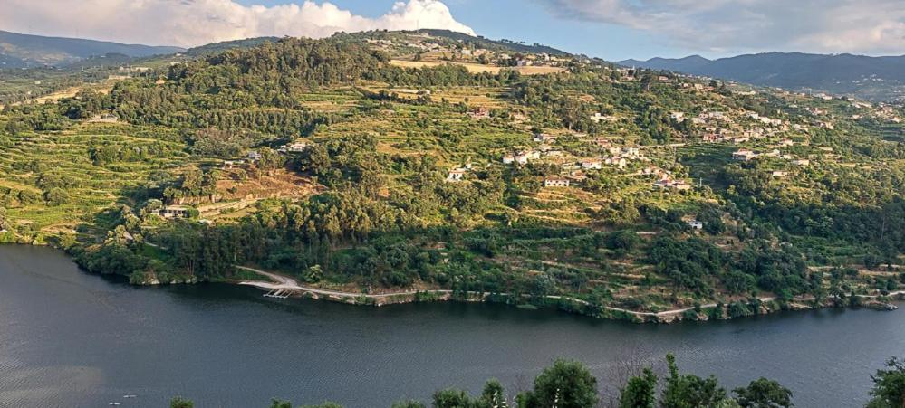 Quinta Dos Castros Douro Villa Baiao Ngoại thất bức ảnh