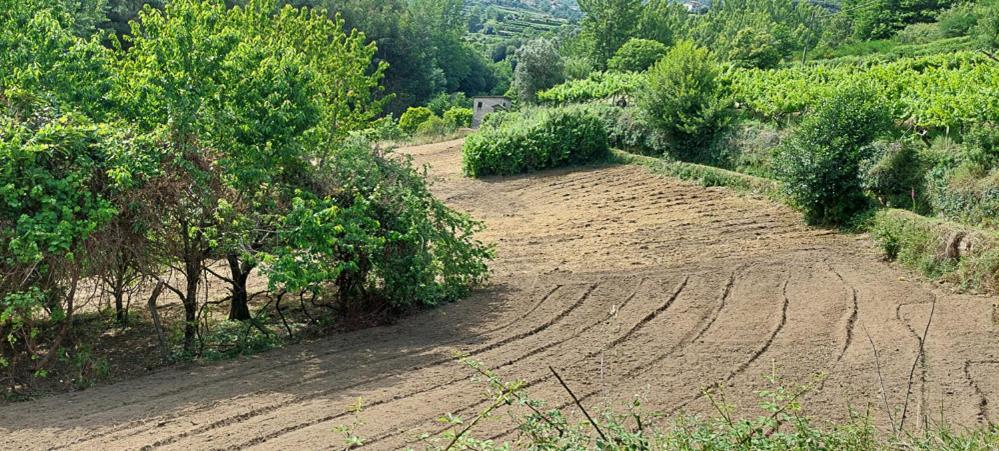 Quinta Dos Castros Douro Villa Baiao Ngoại thất bức ảnh